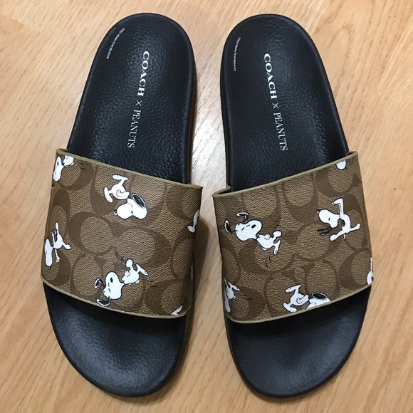 Coach X Peanuts Slide With Snoopy Print - Picture 3 of 10